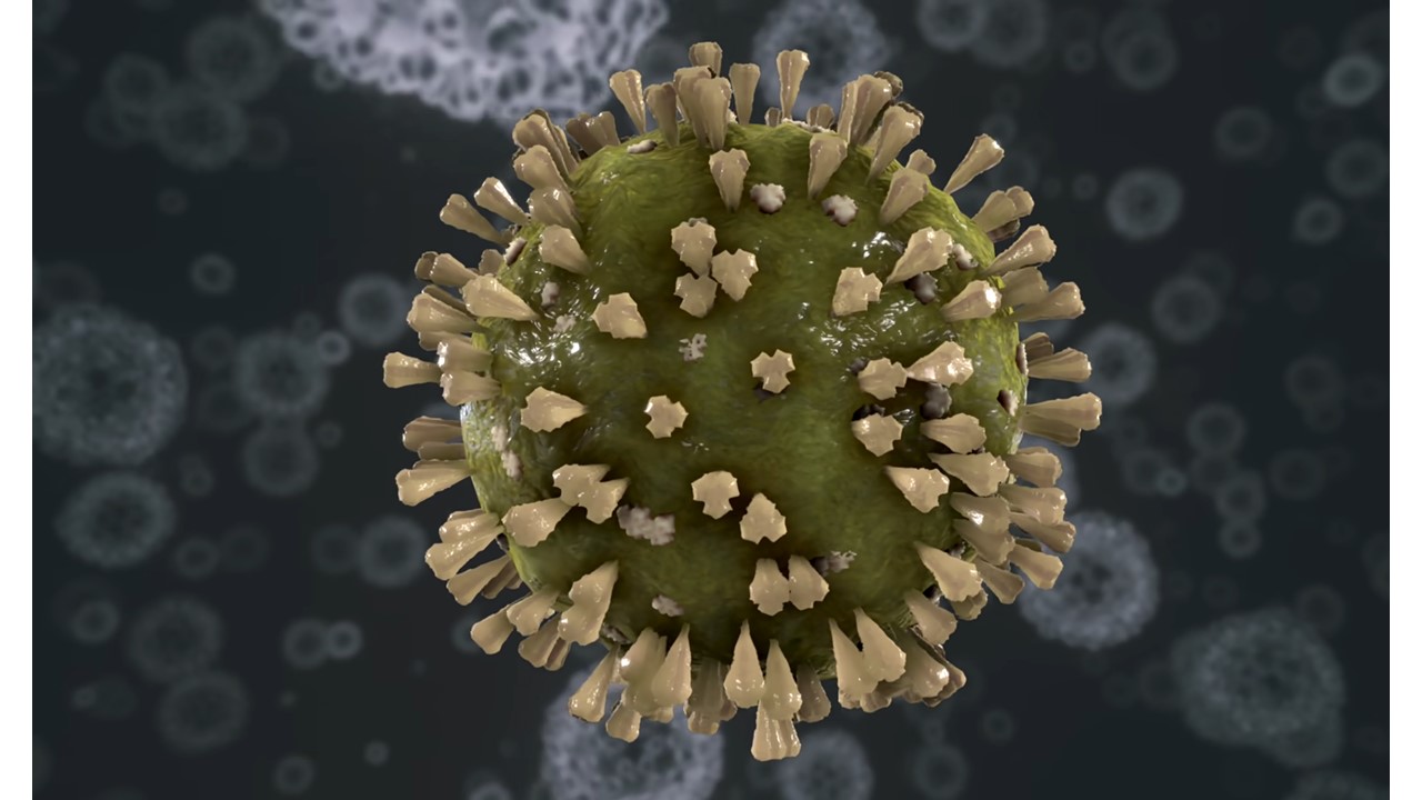 pandemi Covid-19, corona virus, varian Omicron, Covid-19, protokol kesehatan